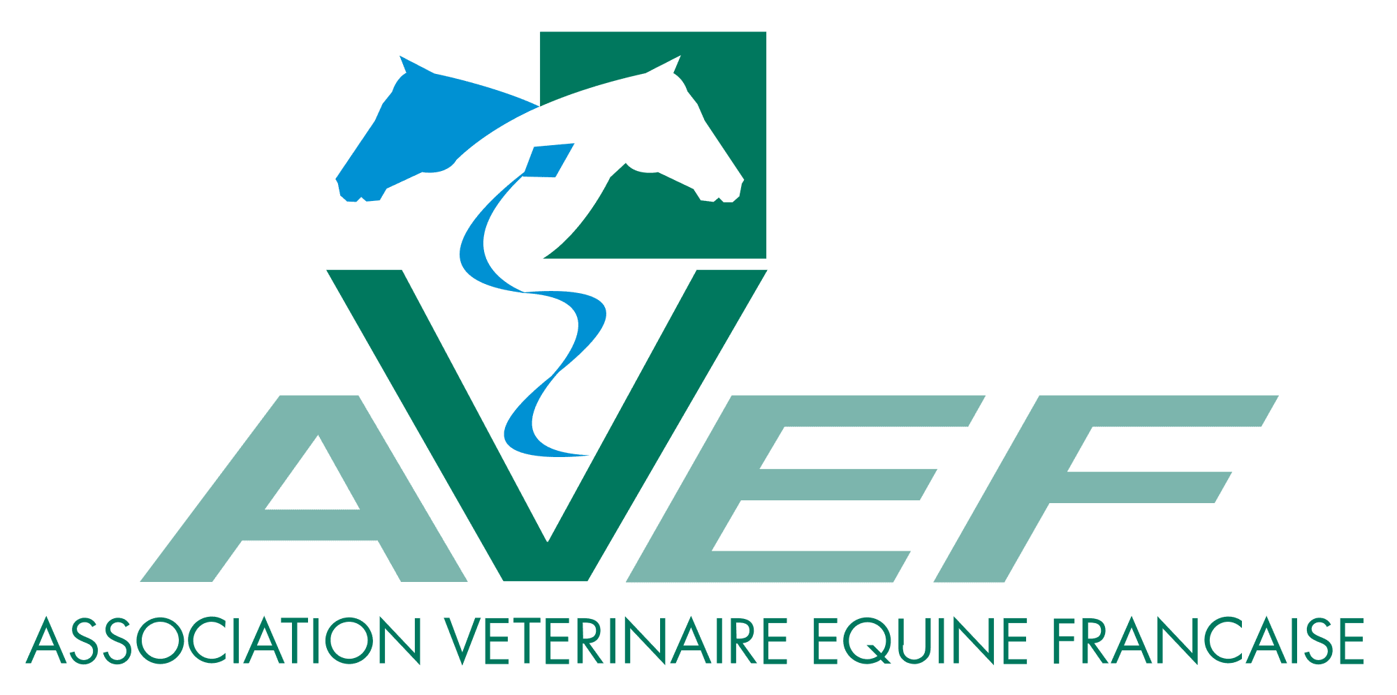 Logo du site internet de l'AVEF